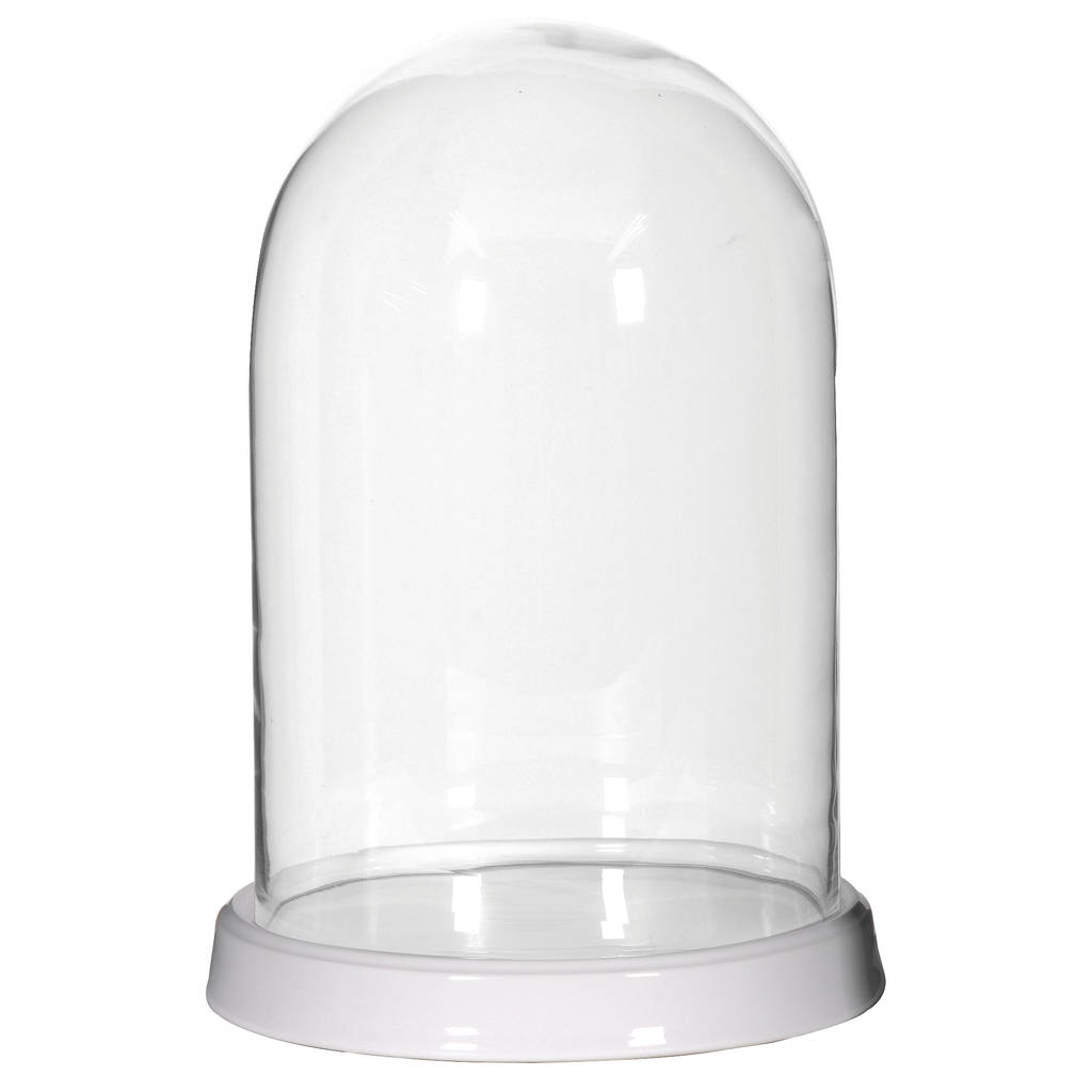 glass dome with base by out there interiors