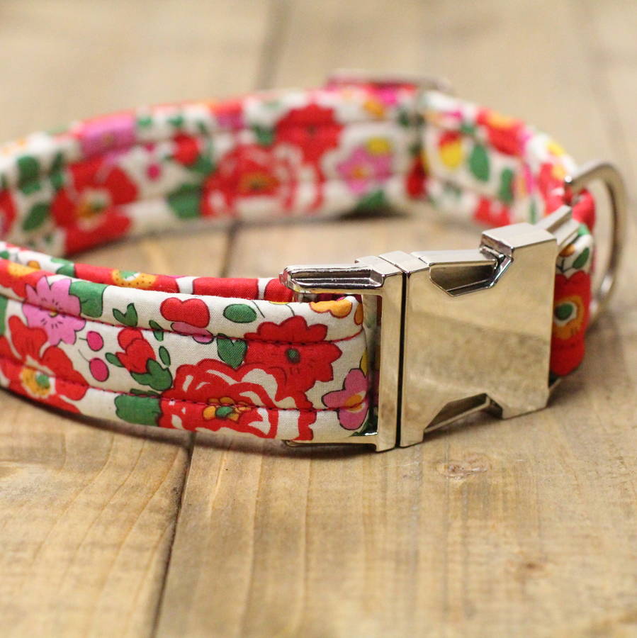 poppy liberty dog collar by the spotted dog company