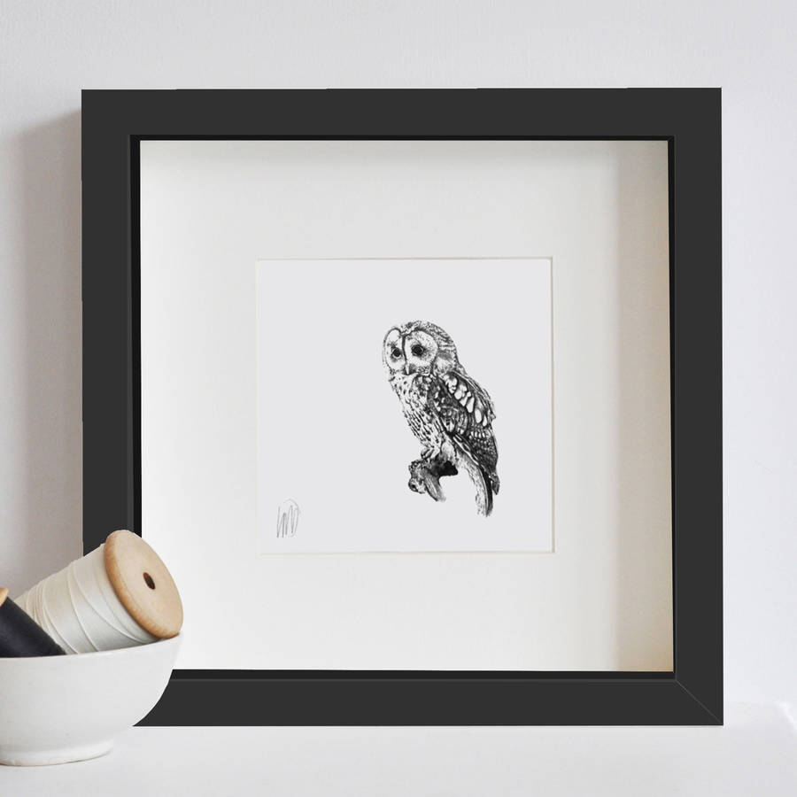 framed owl print by lale guralp