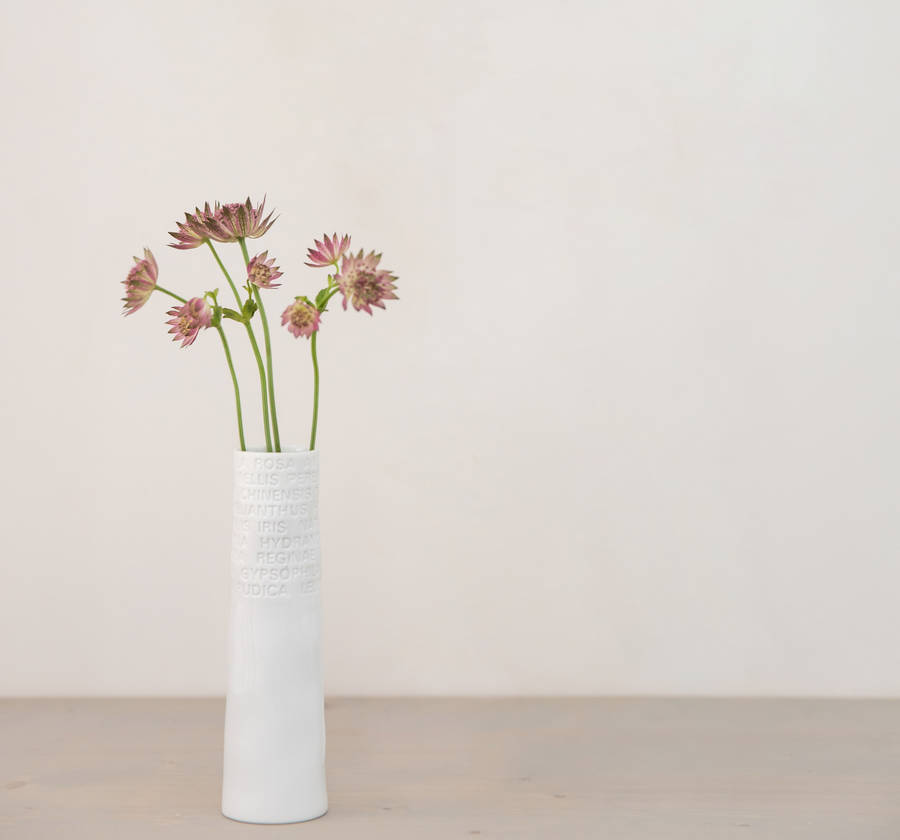 latin script vase by lily belle