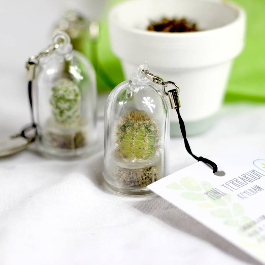 Image Credit: notonthehighstreet