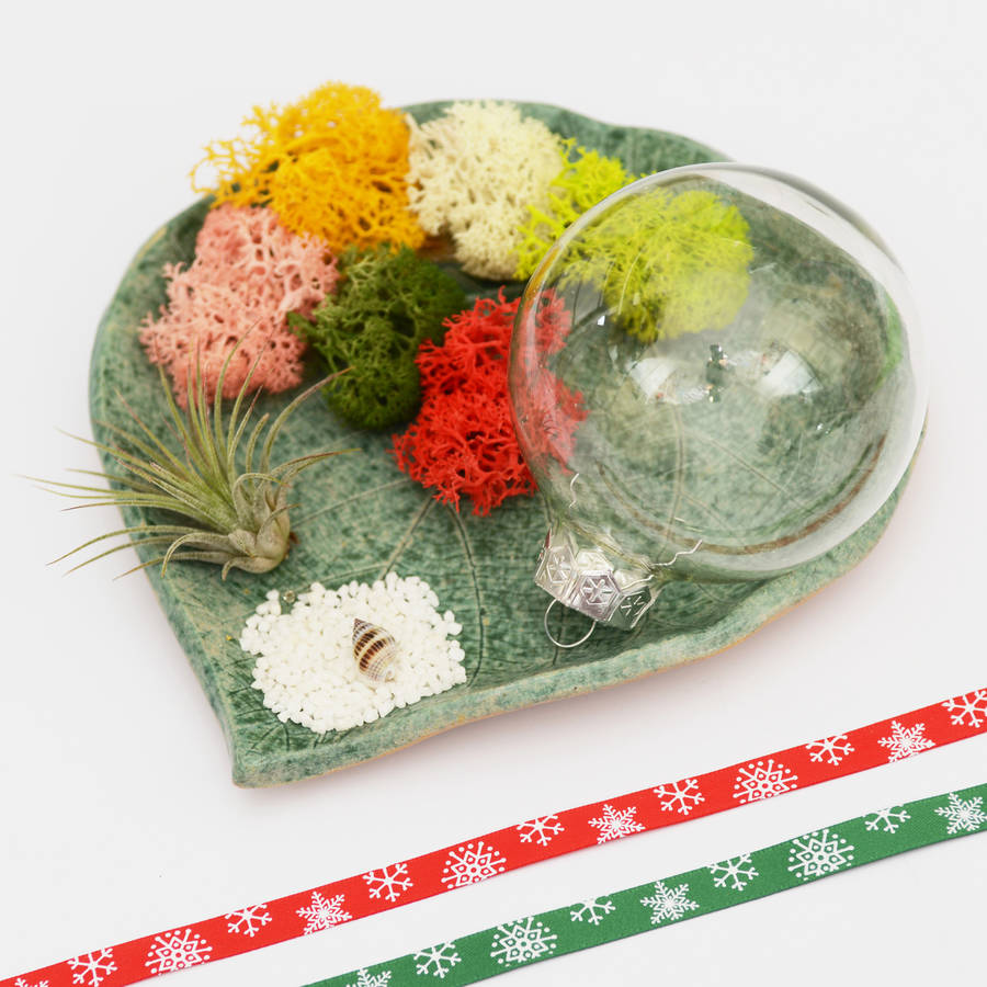 air plant terrarium glass christmas bauble by dingading terrariums