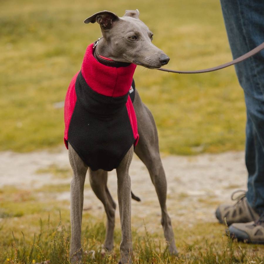 two tone fleece dog jumper by redhound for dogs