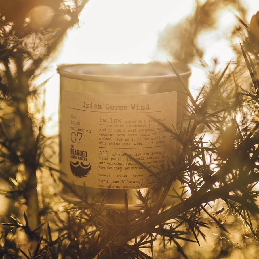 irish gorse wind soy candle by the bearded candle makers