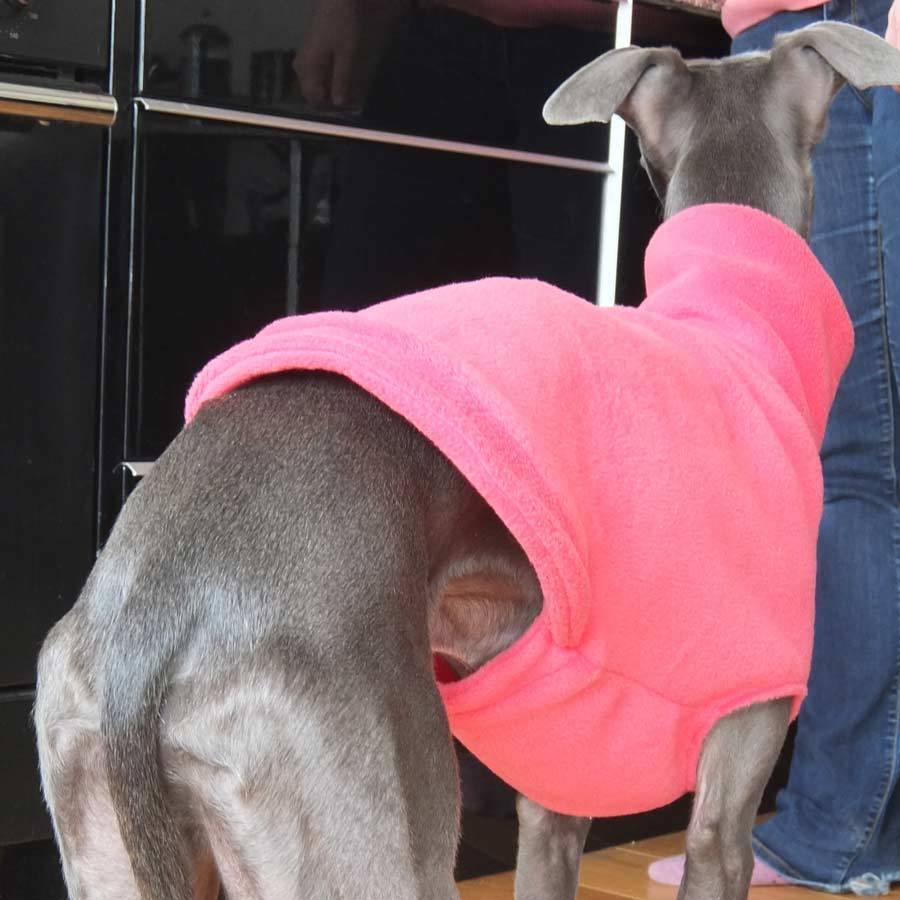 fleecy hound jumper by redhound for dogs