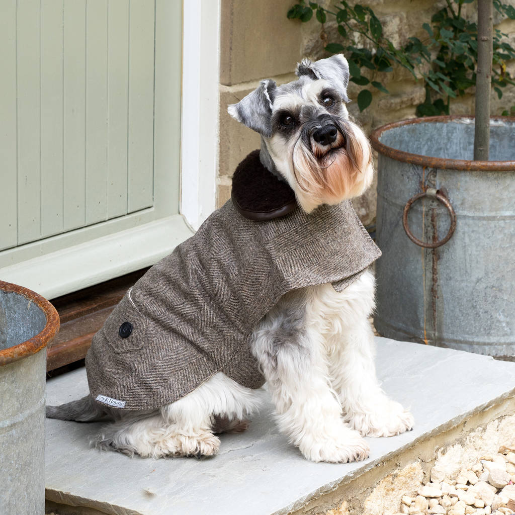 luxury tweed dog coats by mutts & hounds