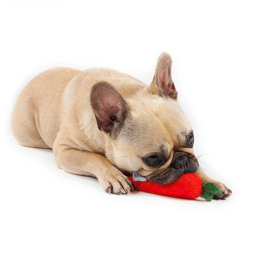 large stuffed carrot dog toy