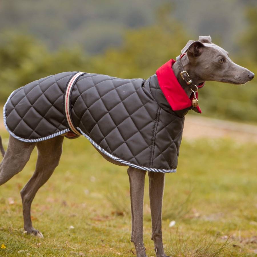 hound quilted washable coat by redhound for dogs