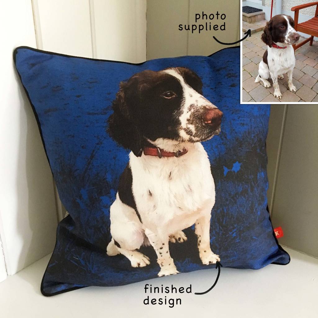 pet portrait cushion