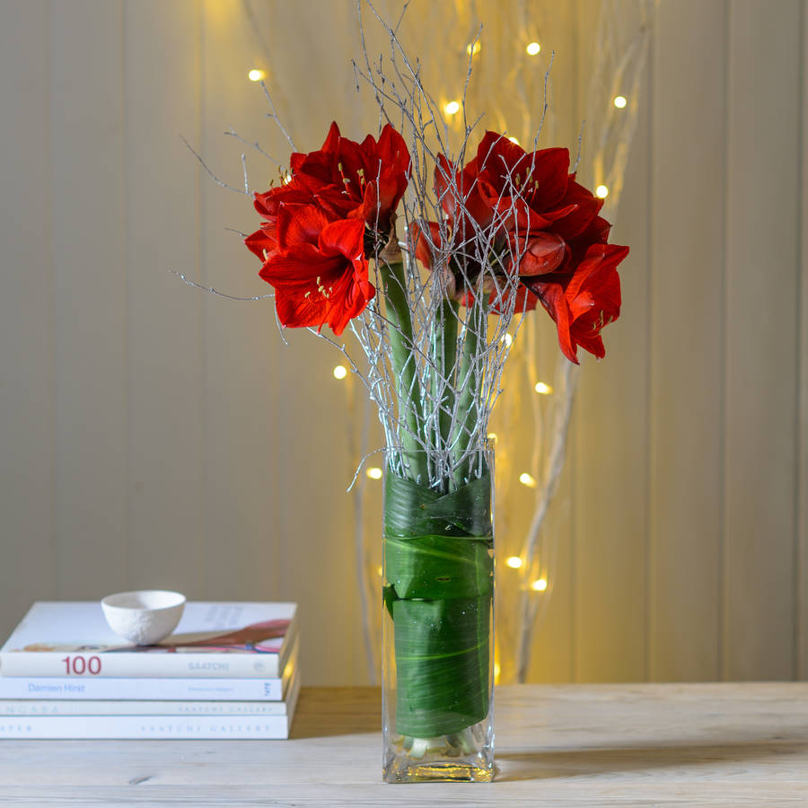 red amaryllis and glitter twig arrangement by the flower studio