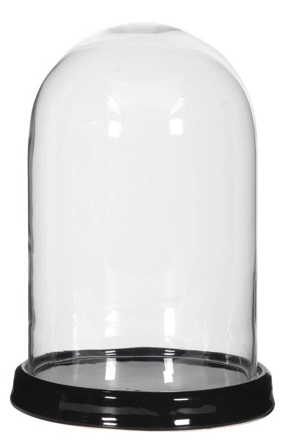 glass dome bell jar with ceramic base by i love retro