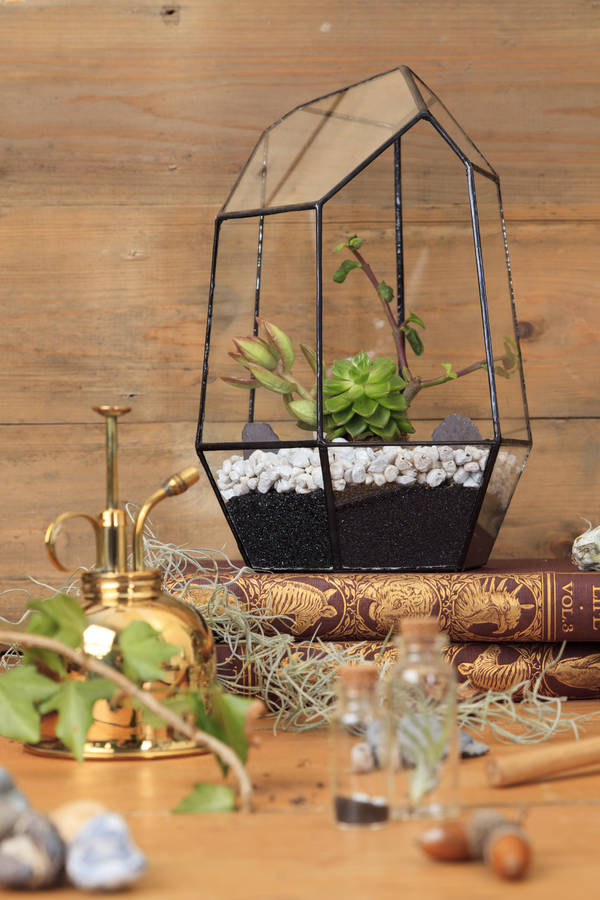 fully assembled aztec gem terrarium by the urban botanist