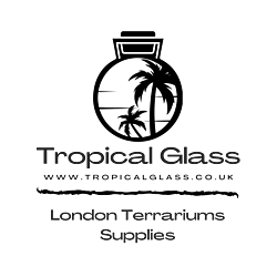 Tropical Glass Logo Terrariums Supplies