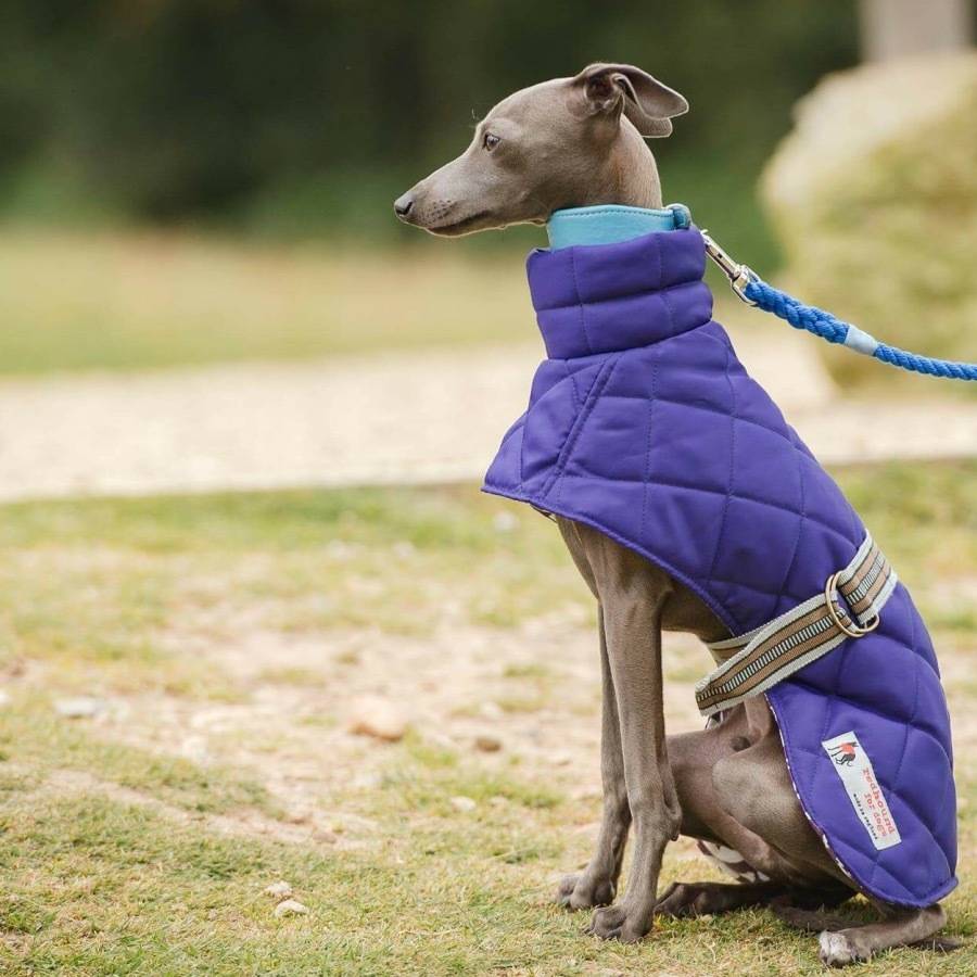 quilted showerproof washable dog coat by redhound for dogs