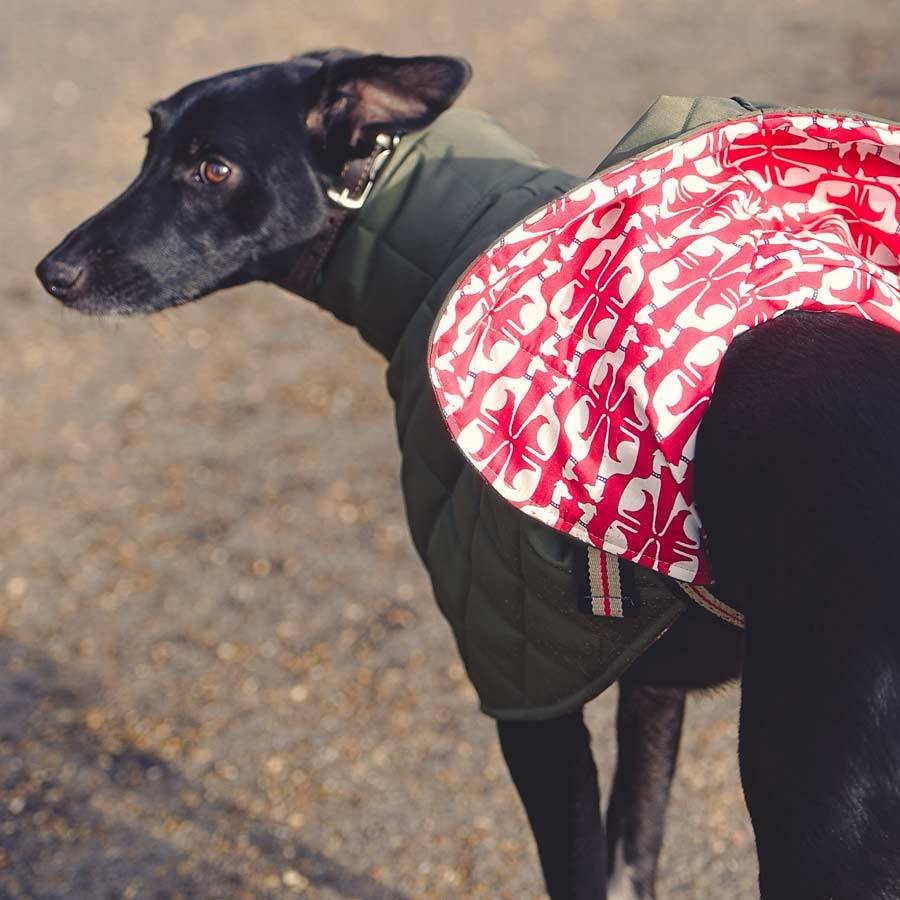 quilted showerproof washable dog coat by redhound for dogs