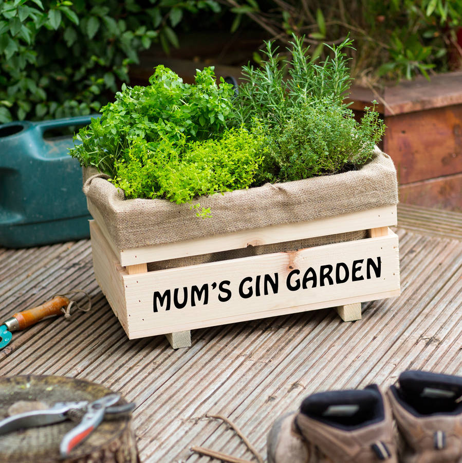 mum�s gin garden by plant and grow