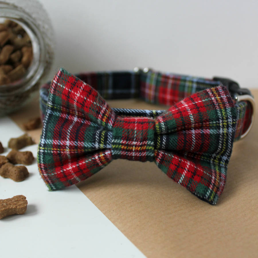 angus tartan dog bow tie by feathers & tails