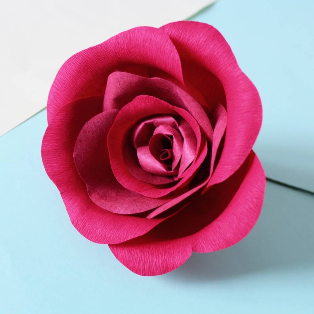 Essay about rose flower picture