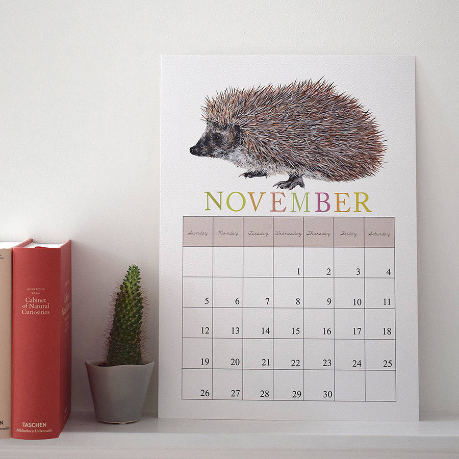 2017 illustrated wall calendar a3 by naomi stay