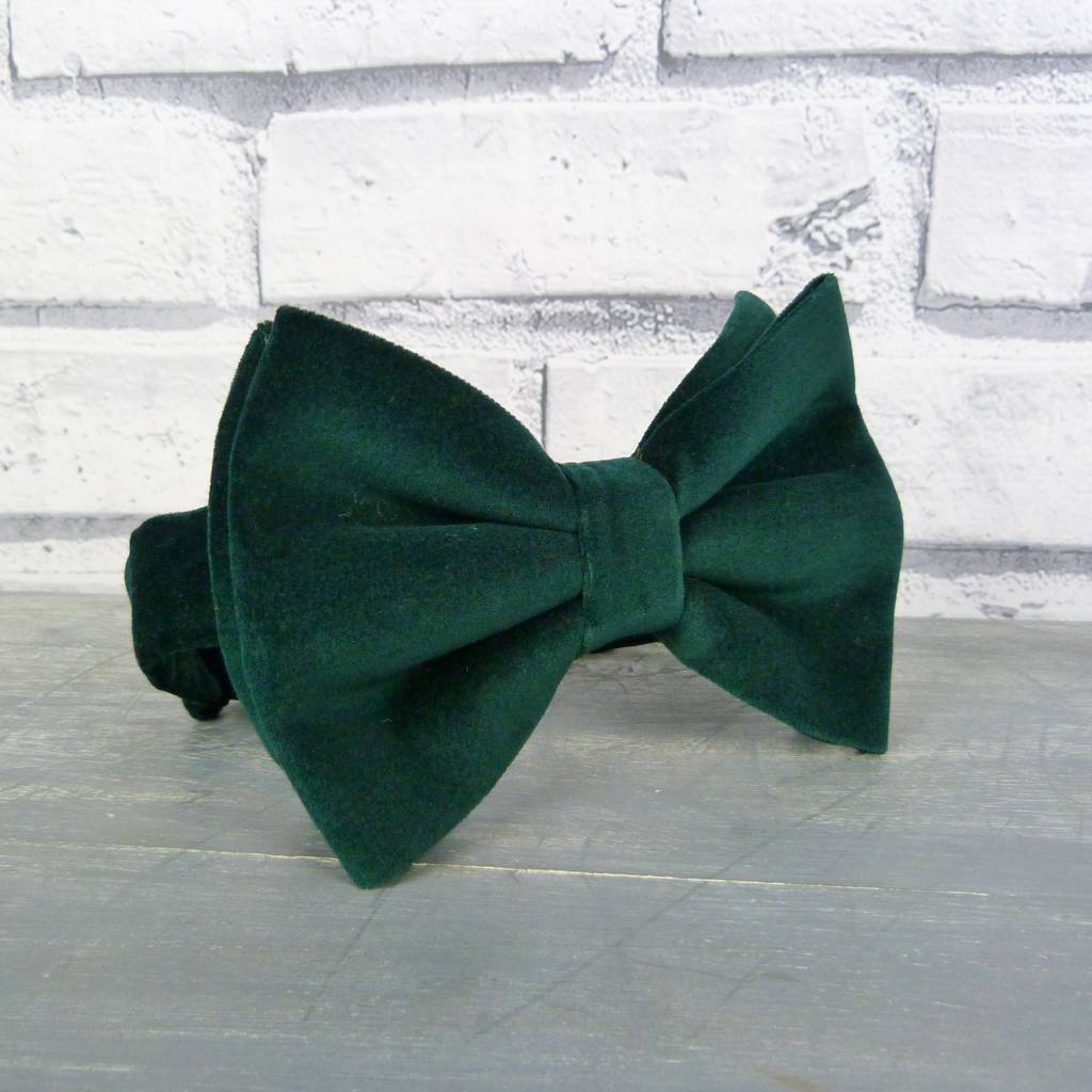velvet oversized bow tie by moaning minnie