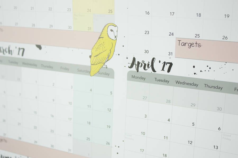 large-academic-calendar-and-year-planner-2015-2016-by-alexia-claire