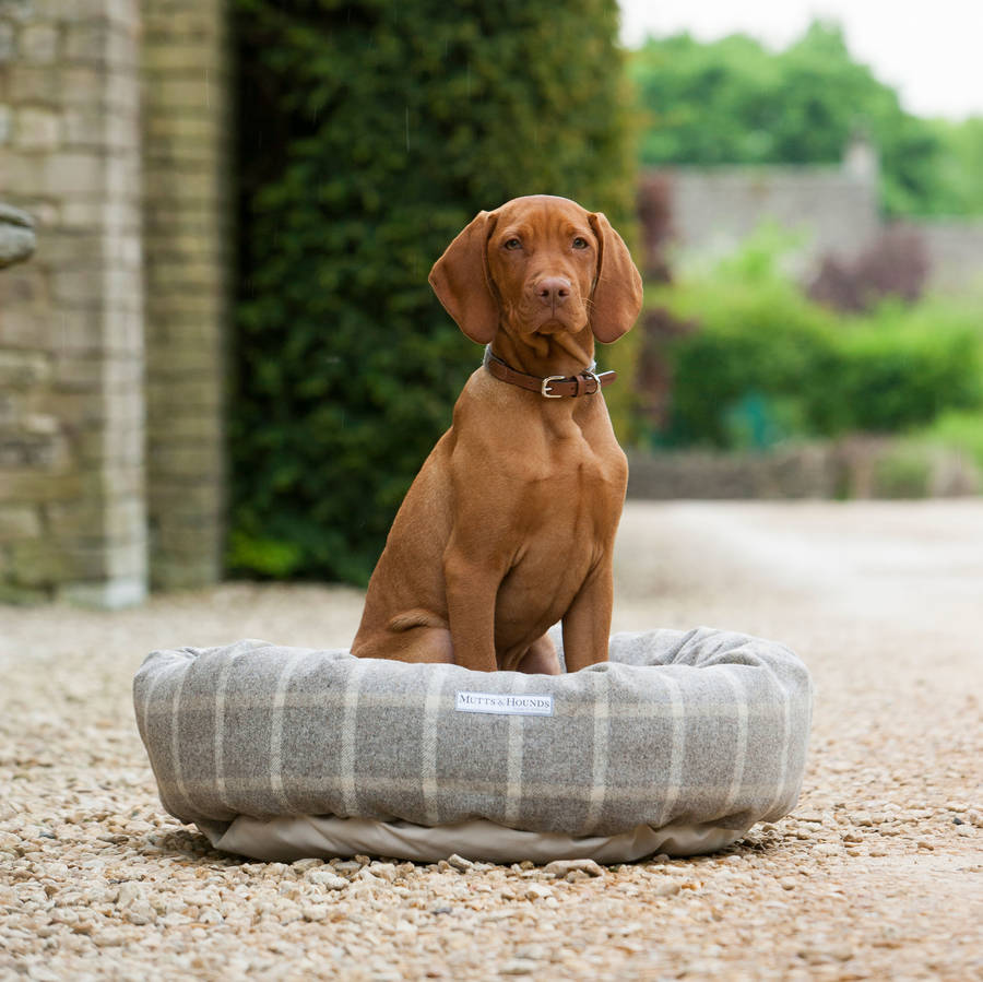 luxury tweed donut dog beds by mutts & hounds