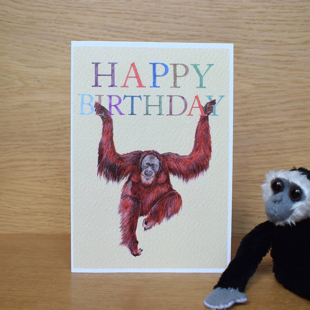 Orangutan Greetings Card Happy Birthday Orangutan App 