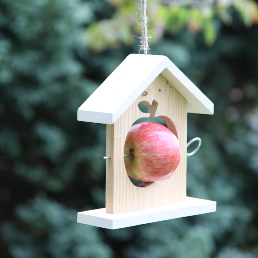 apple bird feeder by red berry apple
