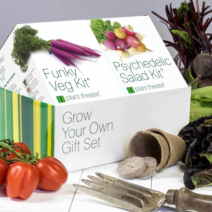 funky veg kit and psychedelic salad kit by plant theatre