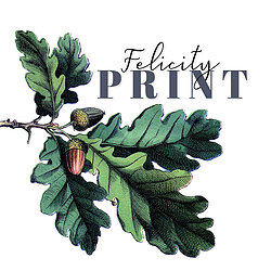 Felicity Print Logo Square