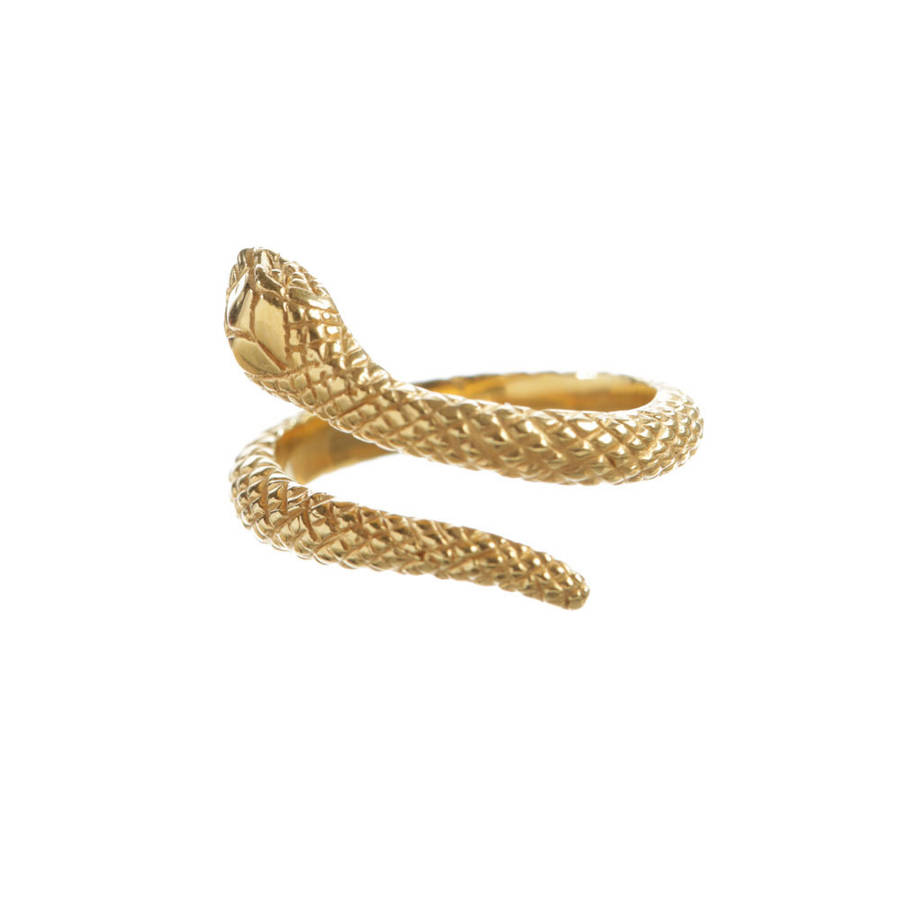 snake ring by louise wade