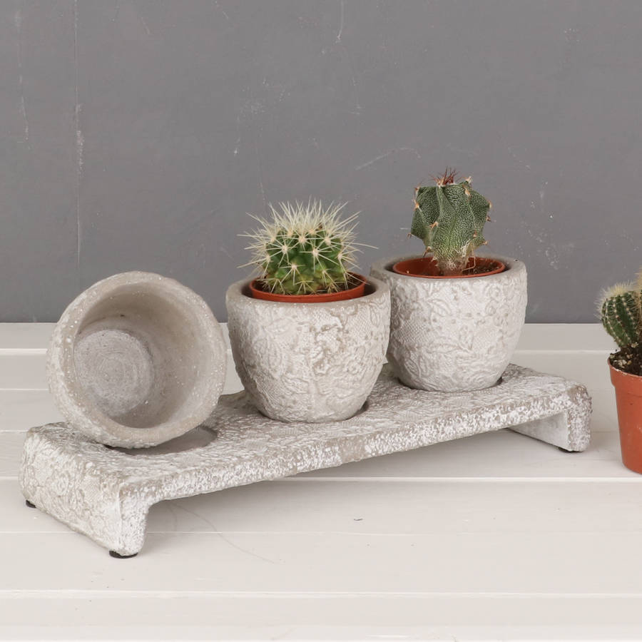 set of three stone windowsill mini plant pots on stand by dibor