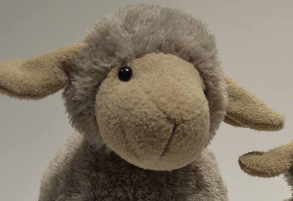 embrace soft toy sheep