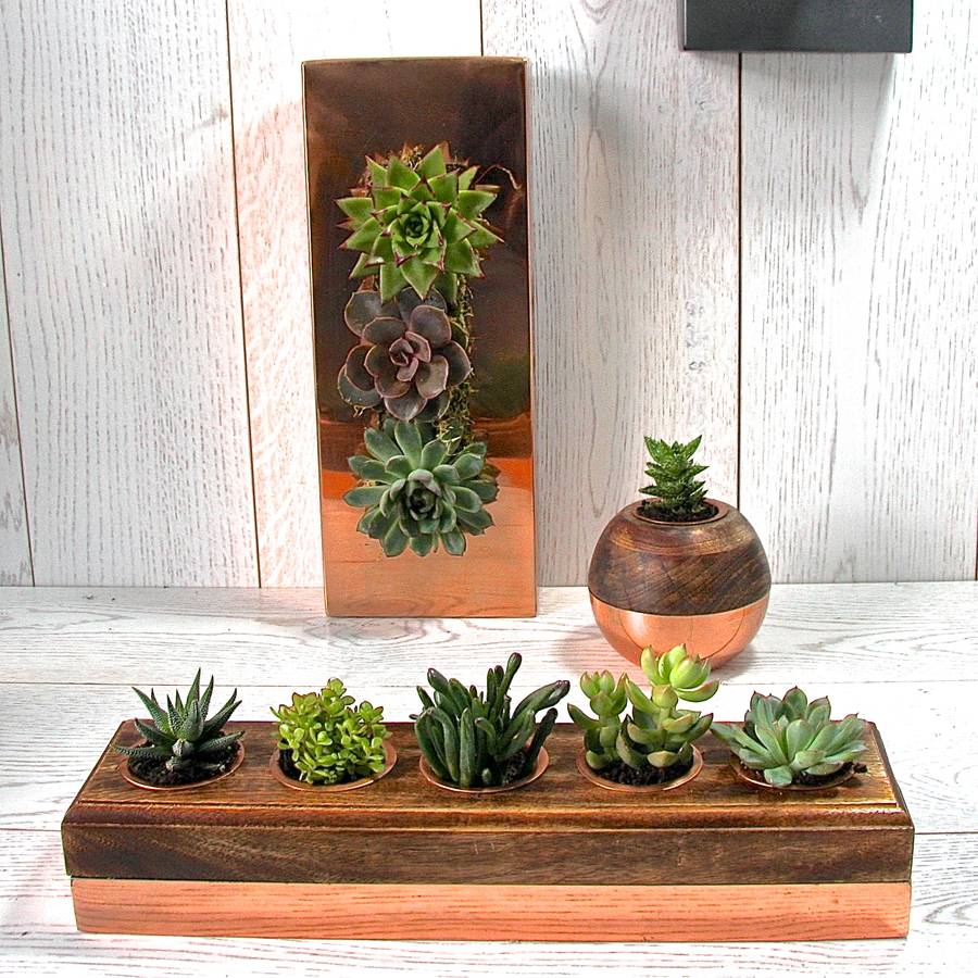 Succulent Holder | copper and wood five succulent holder by london garden Succulent Holder | copper and wood five succulent holder by london garden