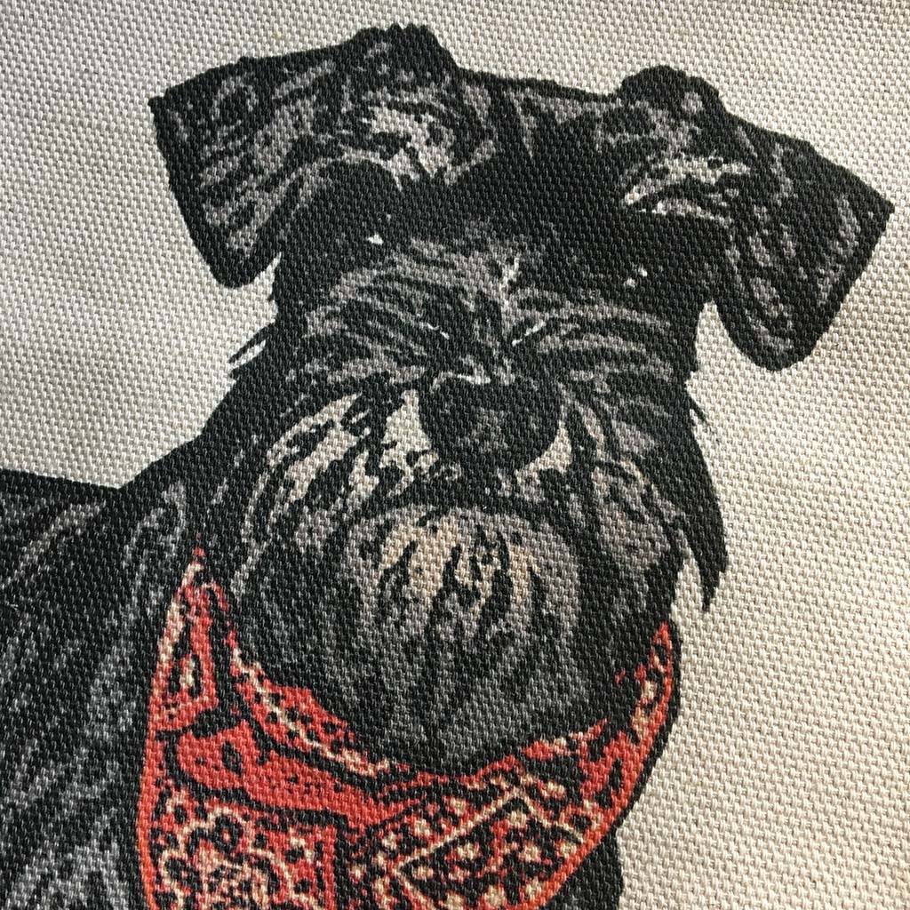 miniature schnauzer cushion