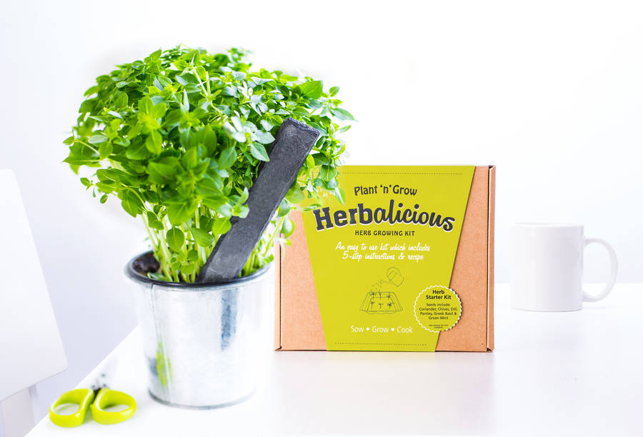 herb growing kit by plant and grow