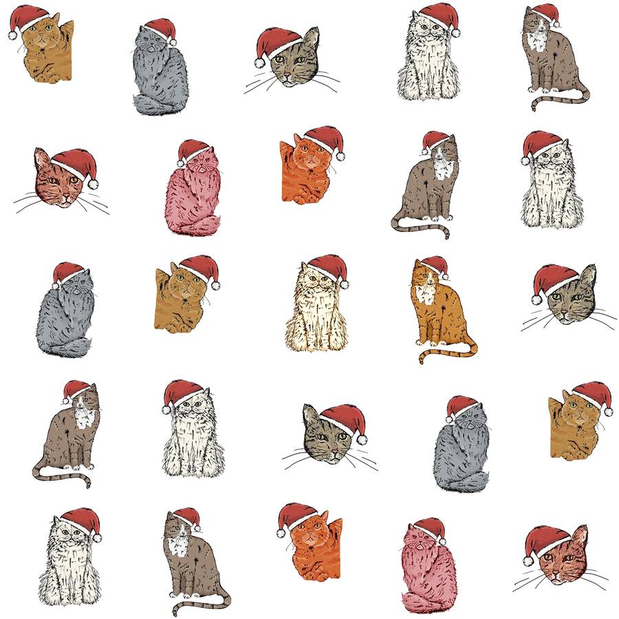 Cat Christmas Wrapping Paper Gift Set By Goodnight Boutique 