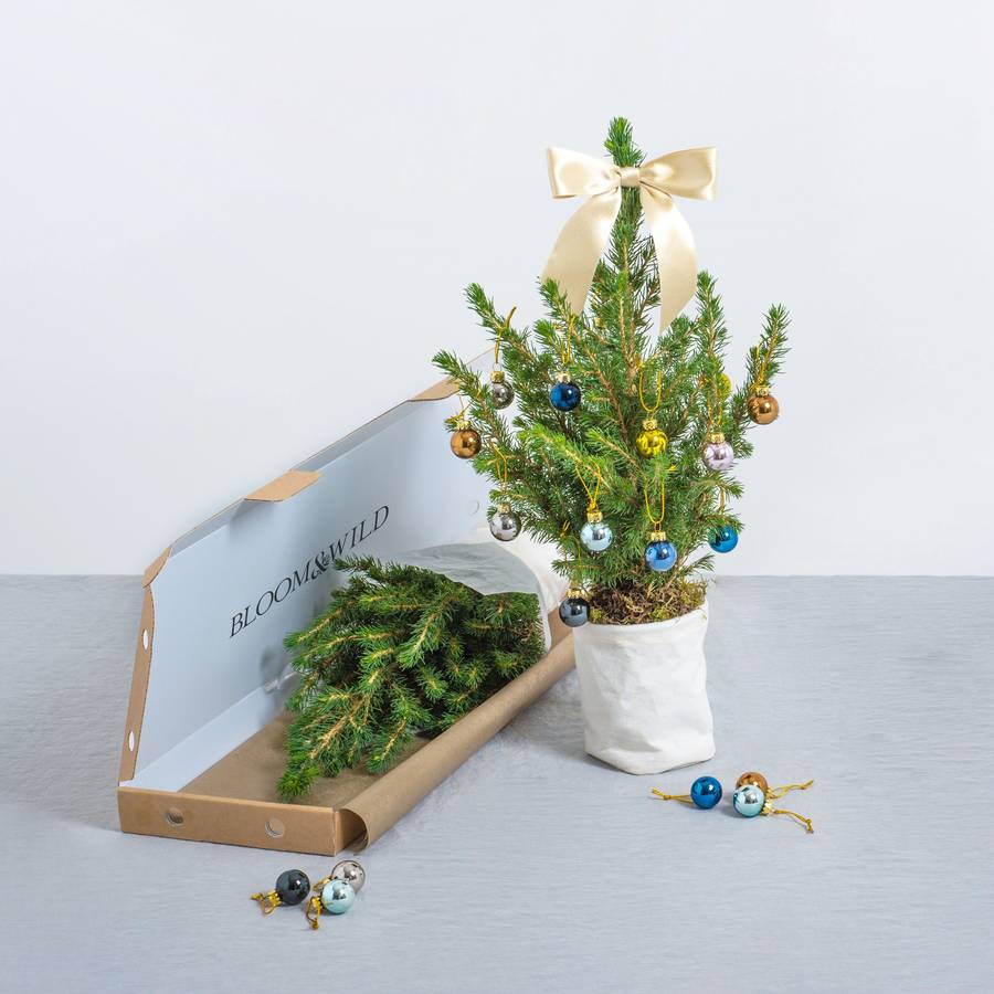 tiny christmas letterbox tree with baubles by bloom wild tiny christmas letterbox tree with baubles by bloom wild