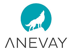 Anevay Stoves Logo