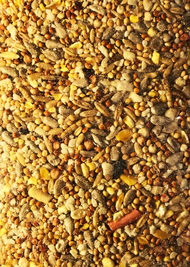 wild bird feed garden feast mix by garden selections