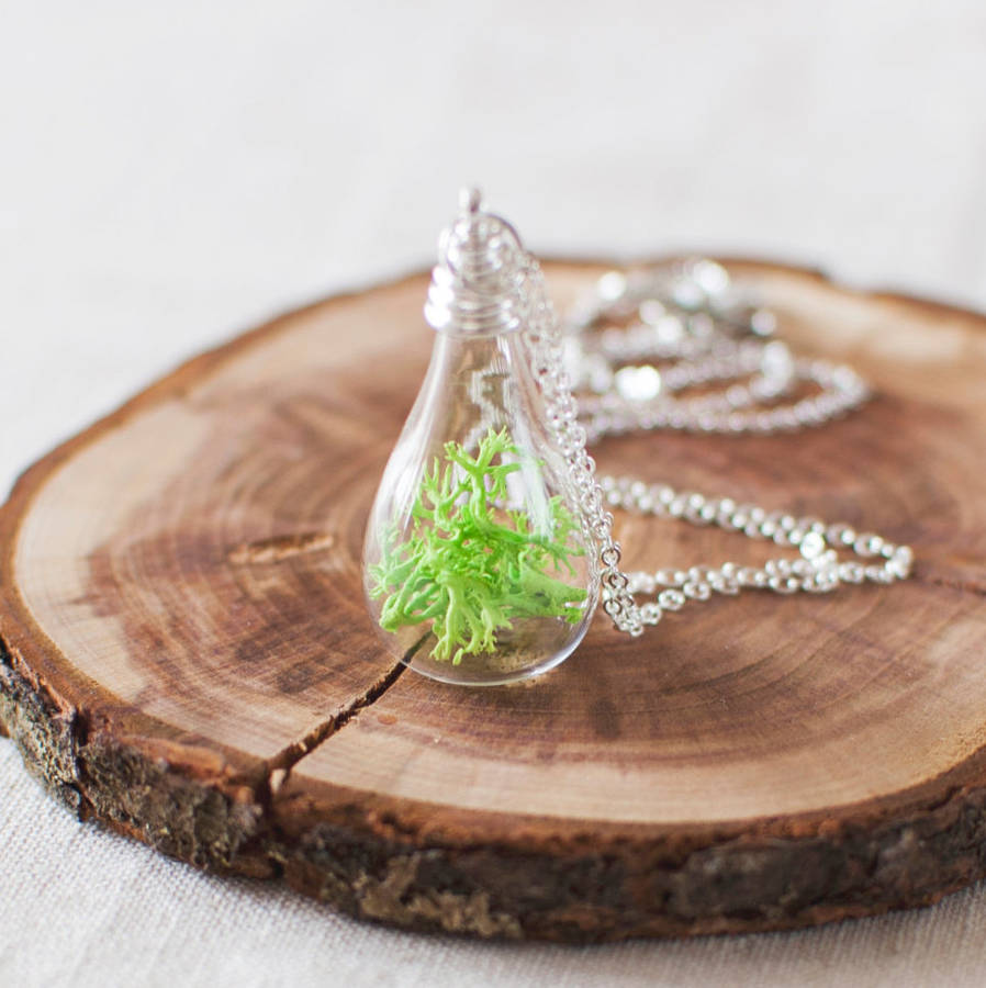 Mini Terrarium Moss Necklace By Juju Treasures Notonthehighstreet