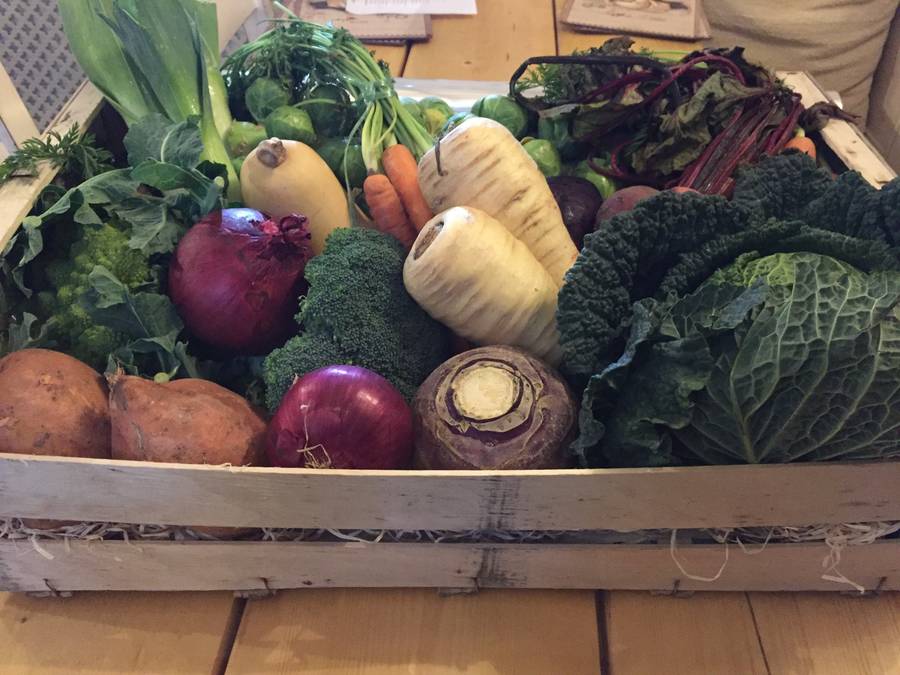 medium vegetable hamper by abbey parks