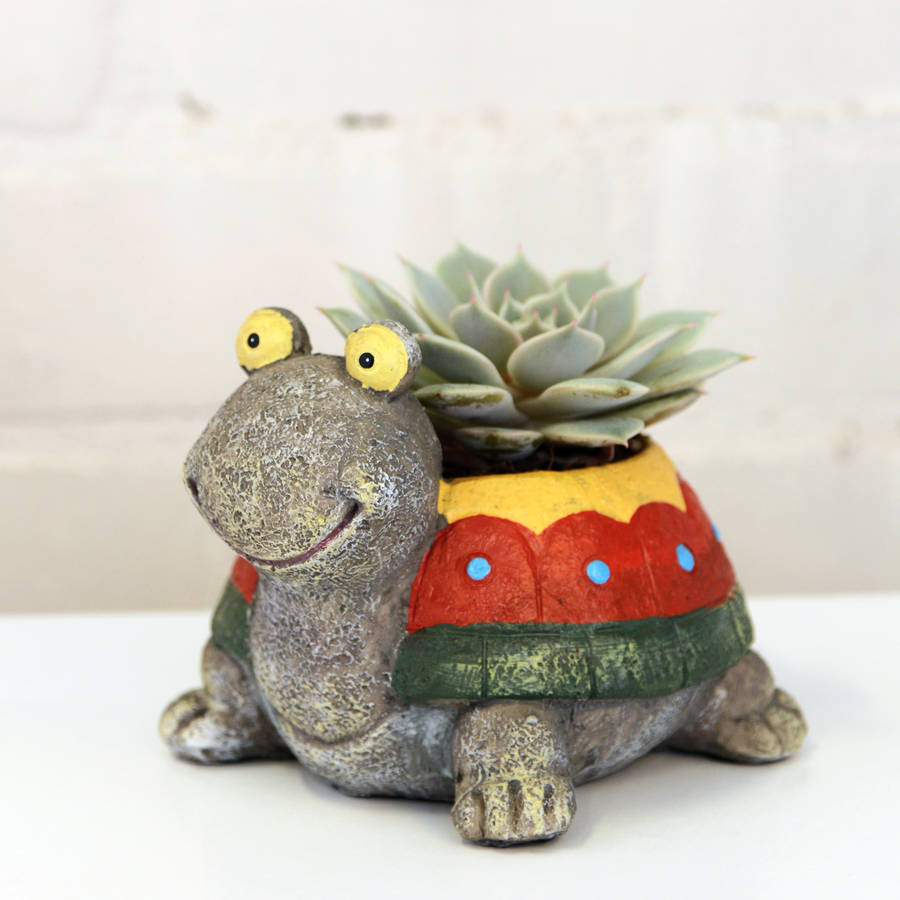 turtle planter with a plant by dingading terrariums
