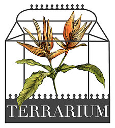 Terrarium Designs