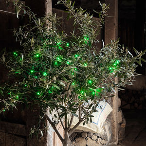 lights4fun - products | notonthehighstreet.com