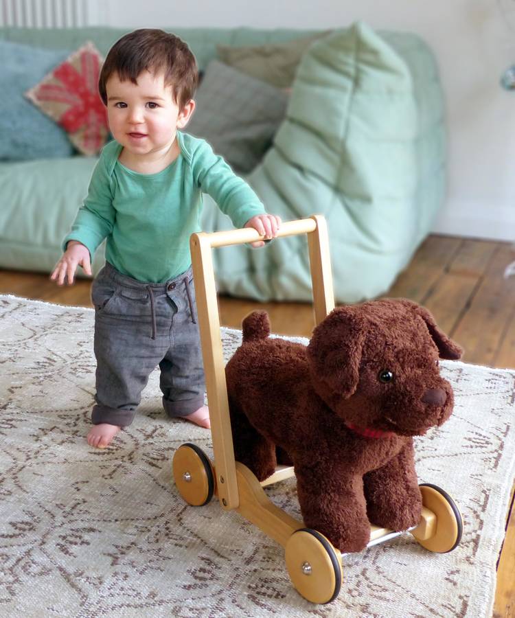 peter puppy push along baby walker by hibba toys of leeds