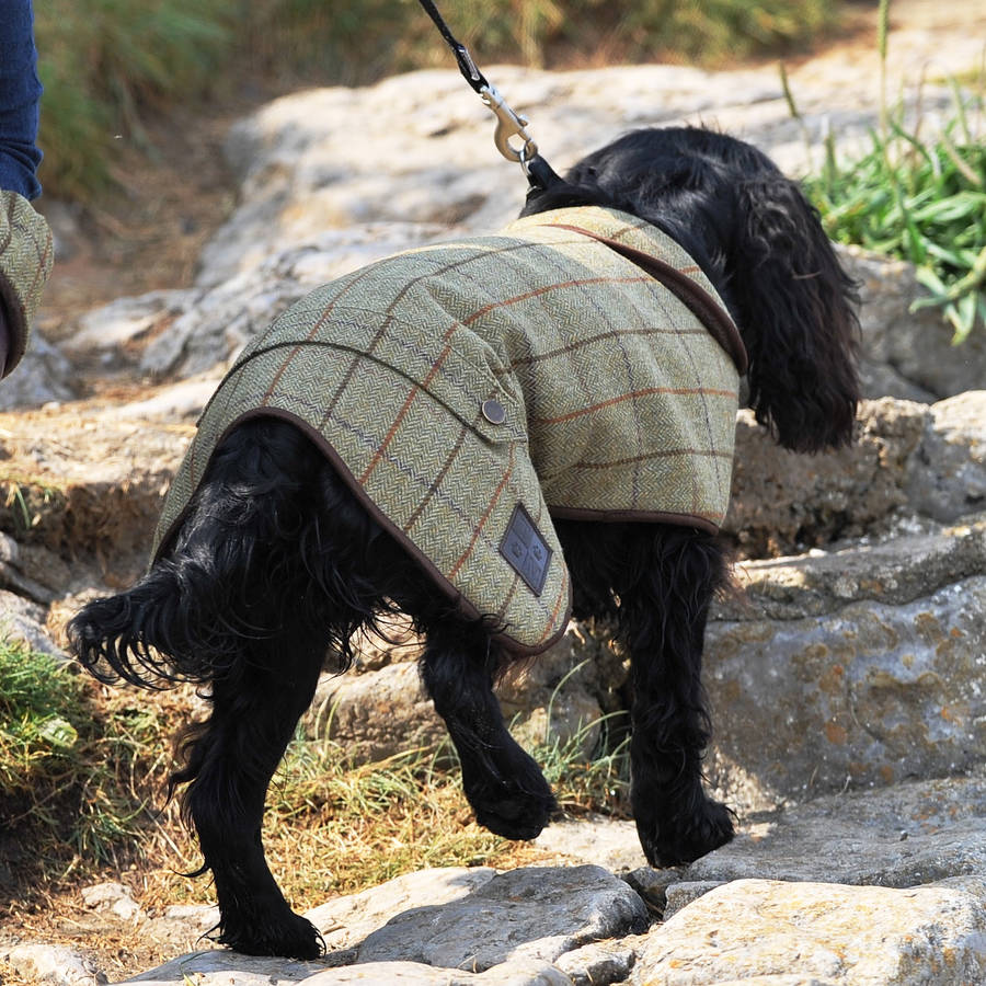 tweed lined dog coat by marquis & dawe