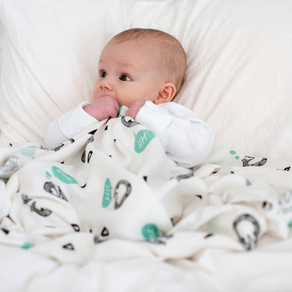 bamboo baby swaddle badger blanket by the little art collection