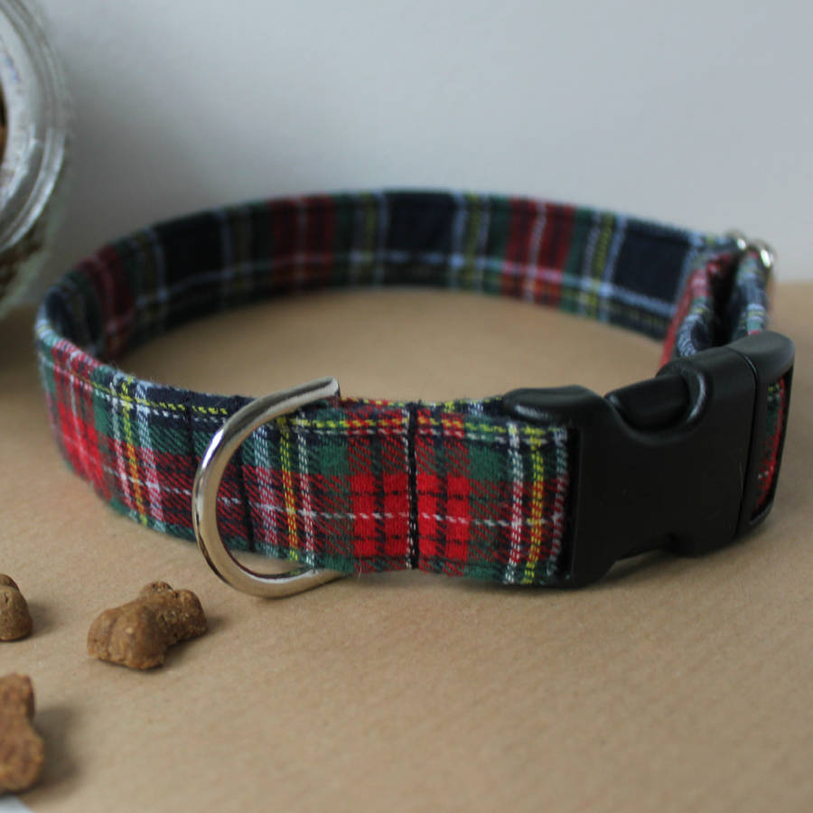 angus tartan dog collar by feathers & tails