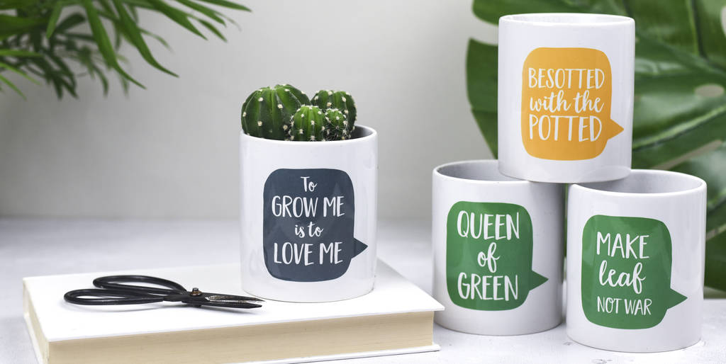 queen of green plant pot by bespoke verse